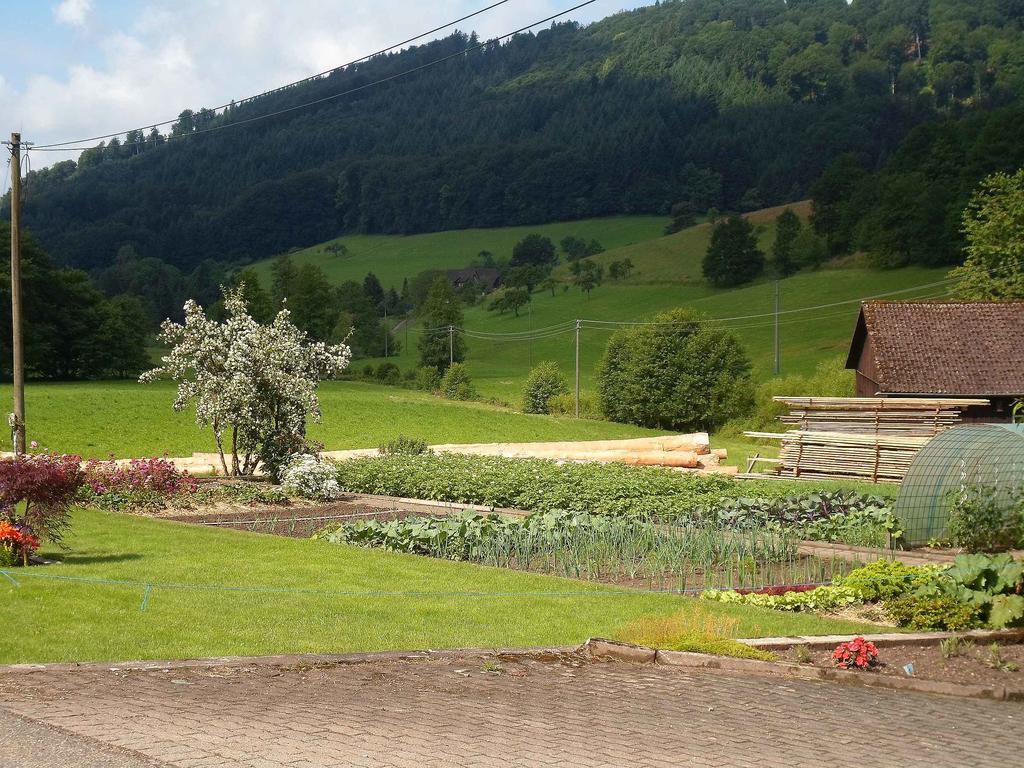 Apartments Zipperhof Lahr  Zewnętrze zdjęcie